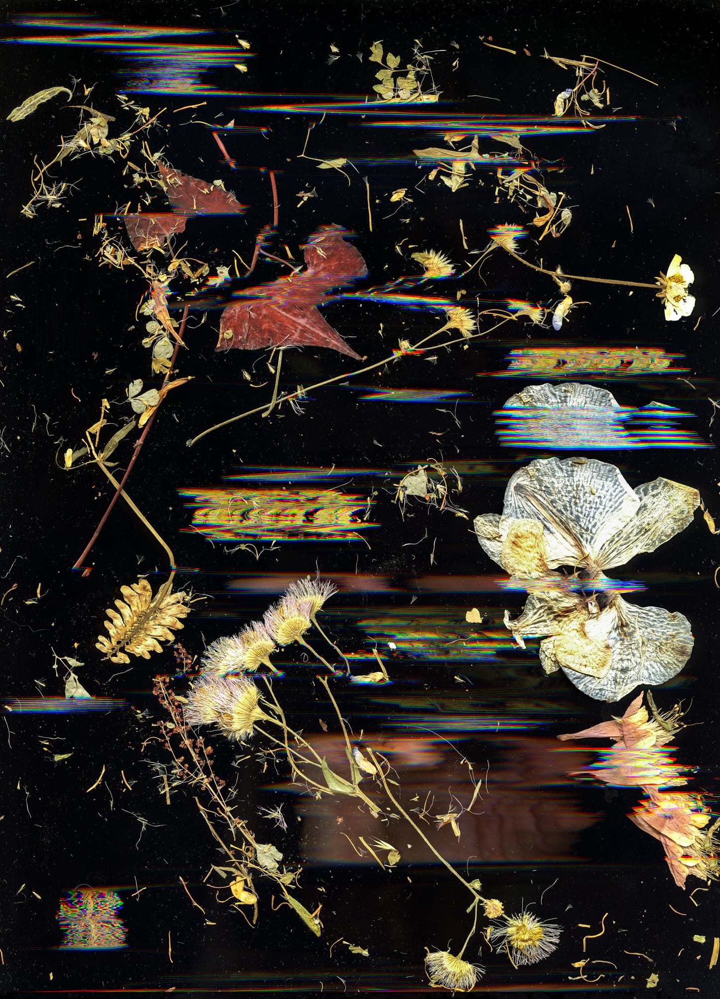 Mary Ev's Flowers no. 3