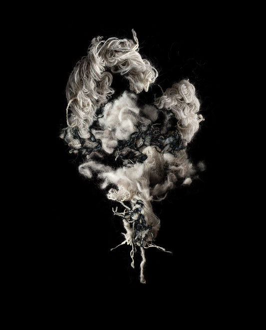Tundra's Skeins and Fur Composite no.2 from Tundra's Fur Series 9