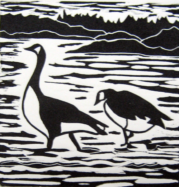 Canada Geese 1