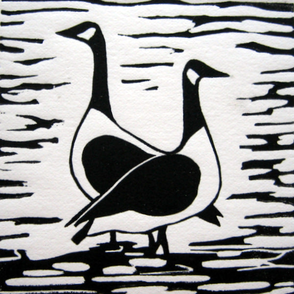 Canada Geese 2