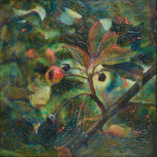 Crabapple Squares #12