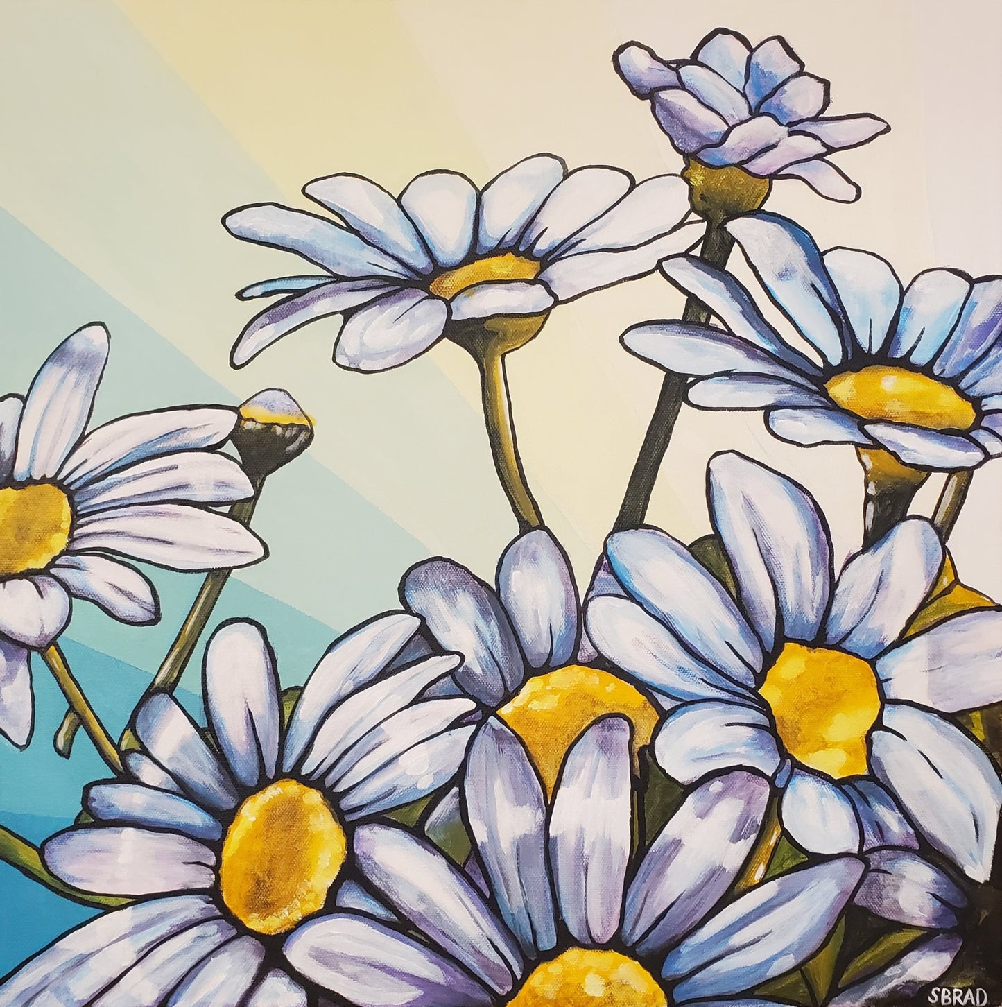 Daisy
