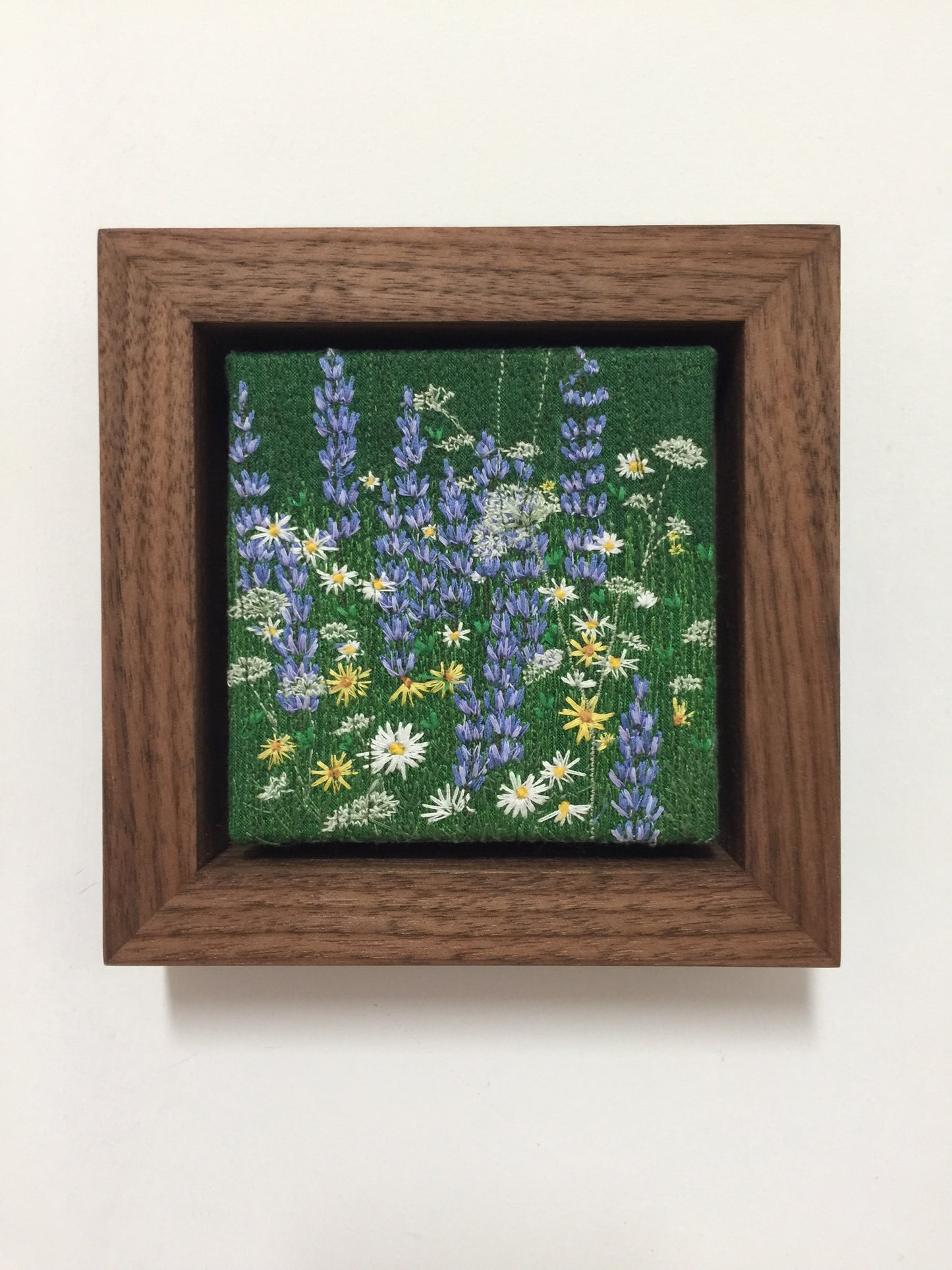Wild Spring