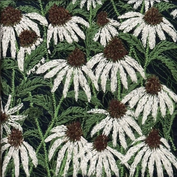Coneflowers