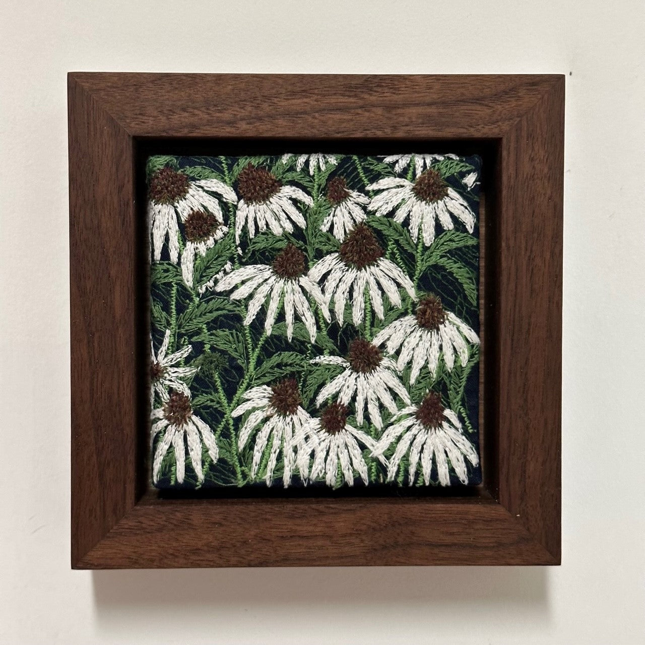Coneflowers