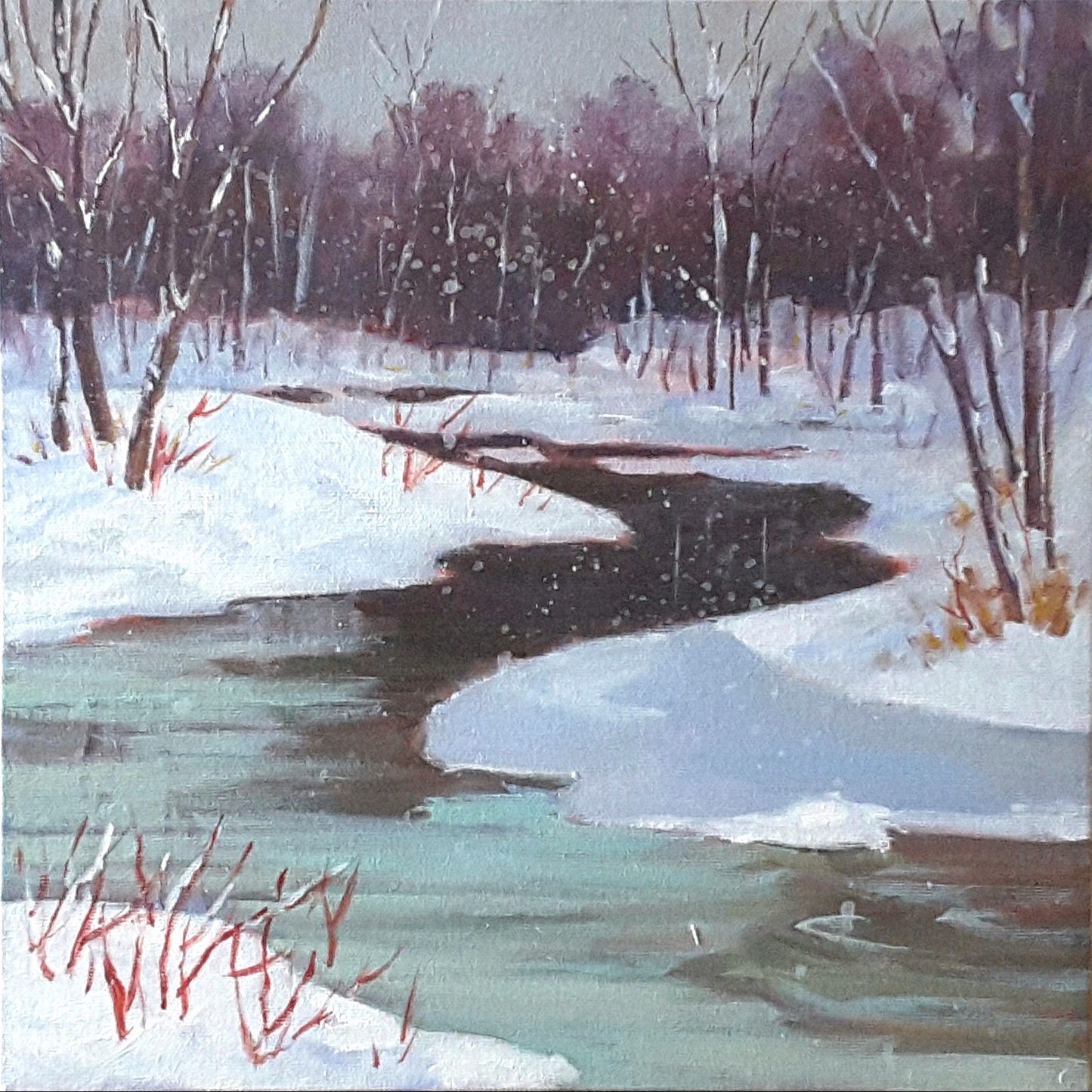 Snow on the Castor River