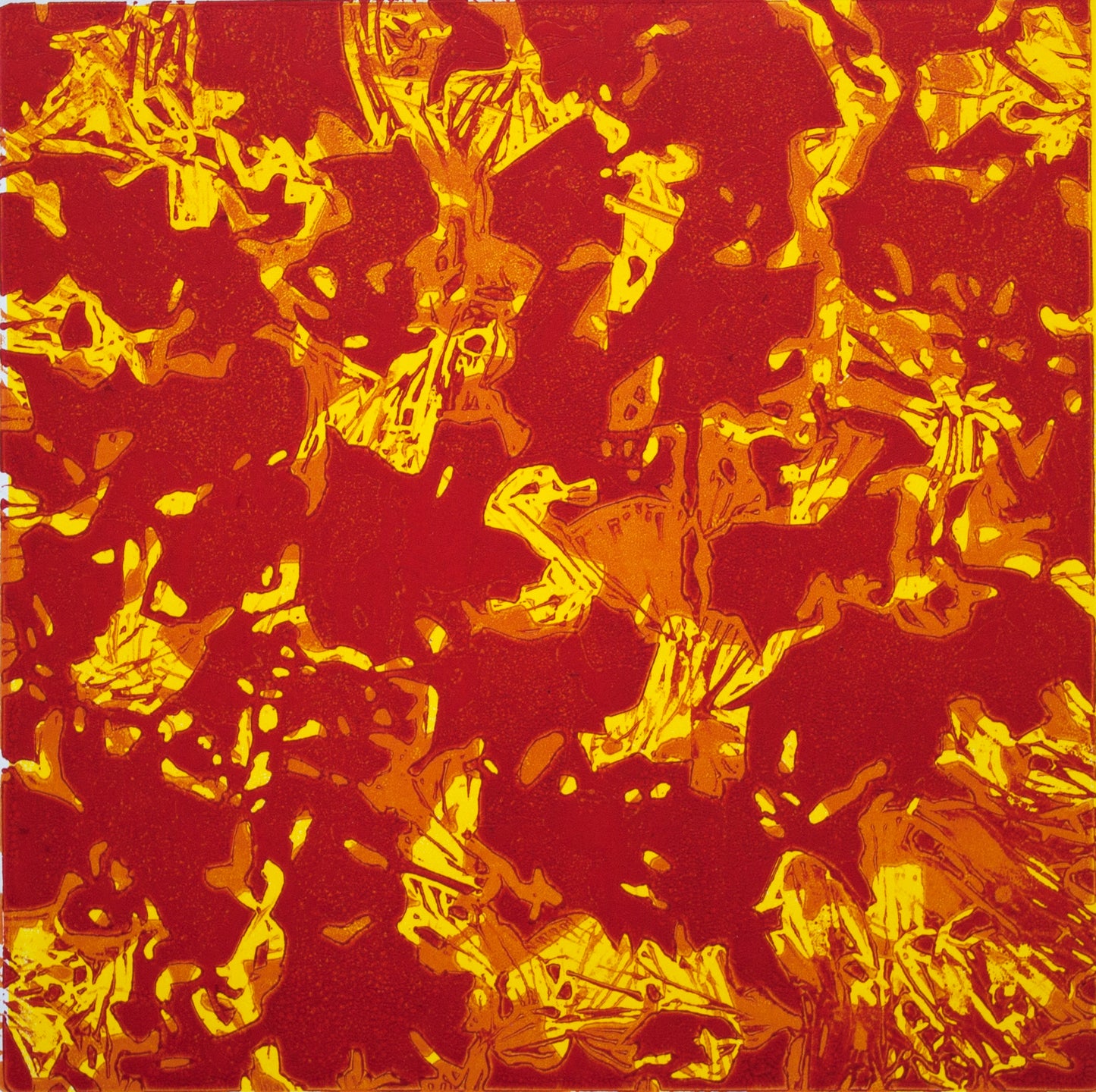Fallen Maple Leaves