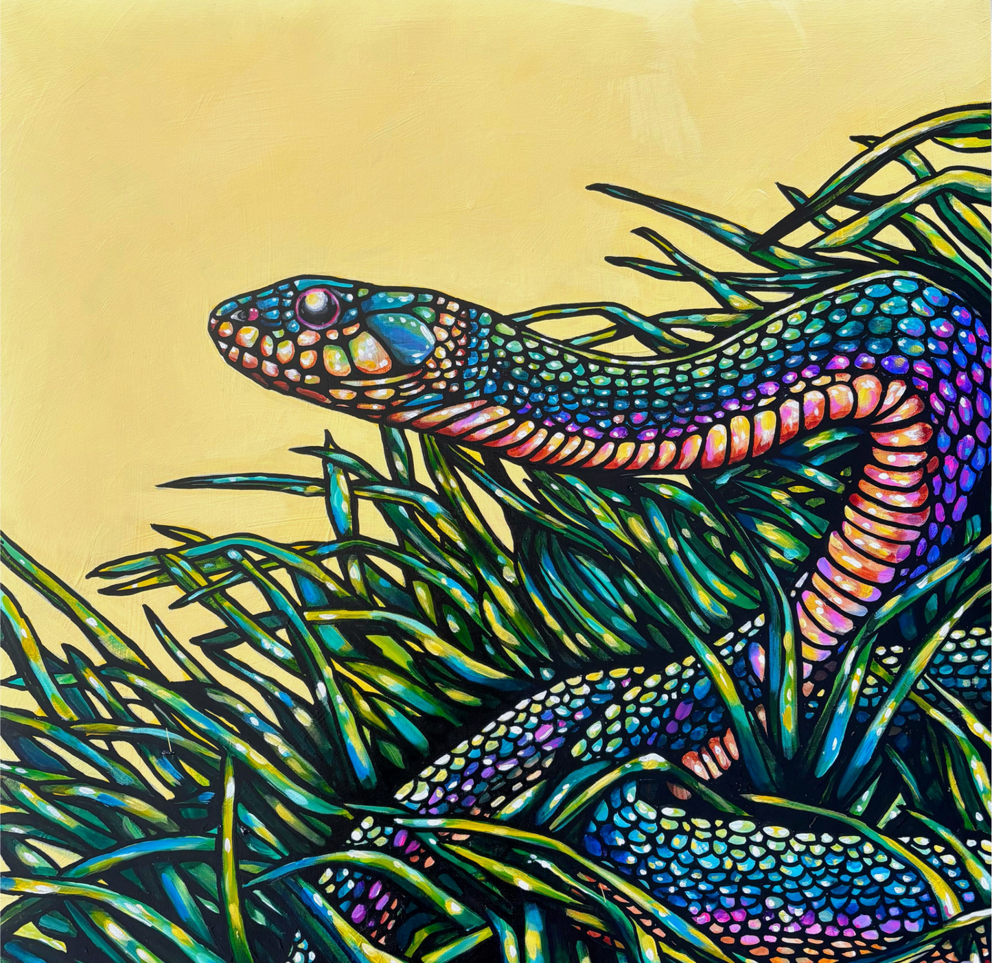 Snake Glow