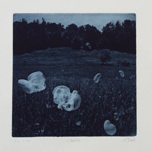 Clairière v.e. 1-15 - Sold