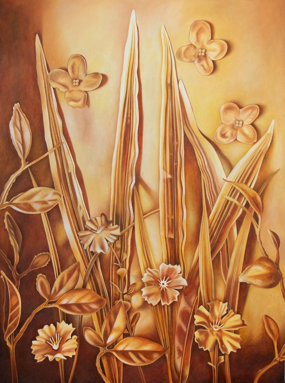 White Stripes and Sweet Williams