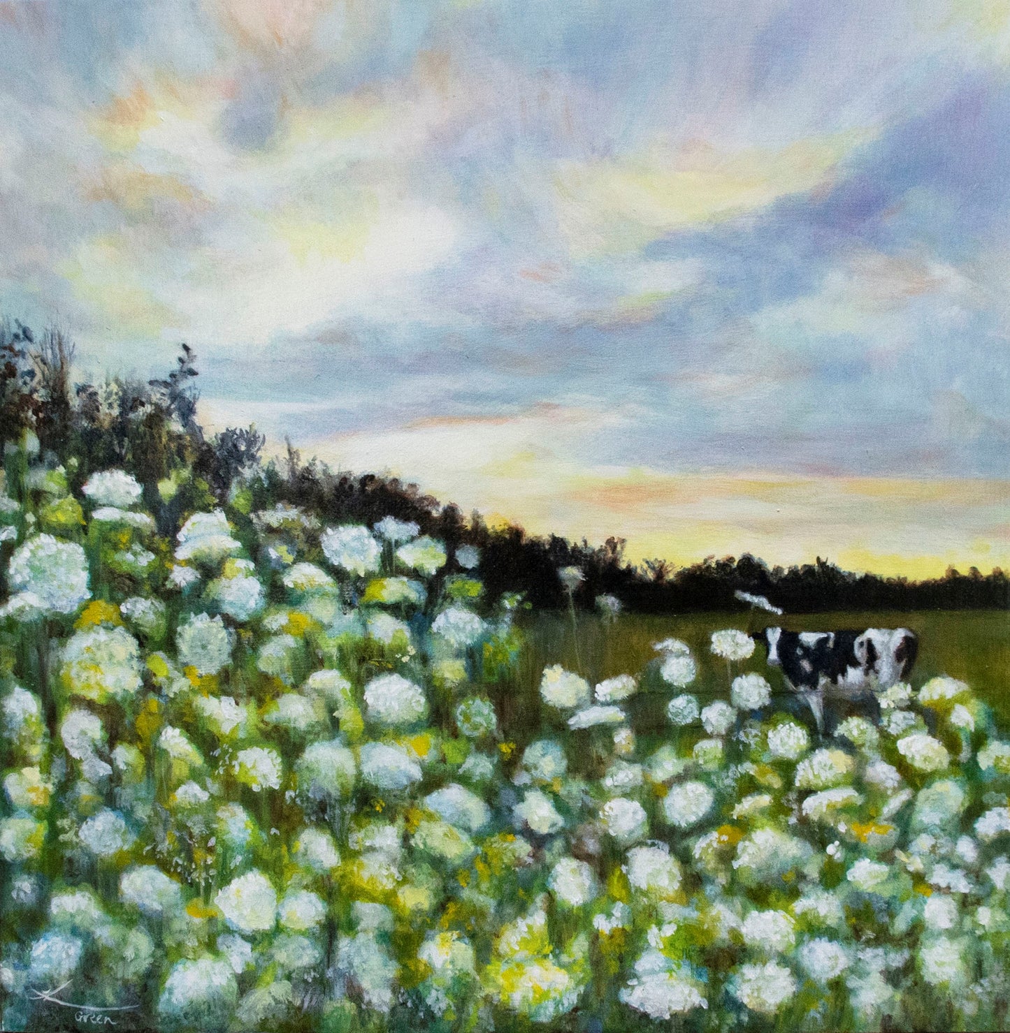 Cow + Field
