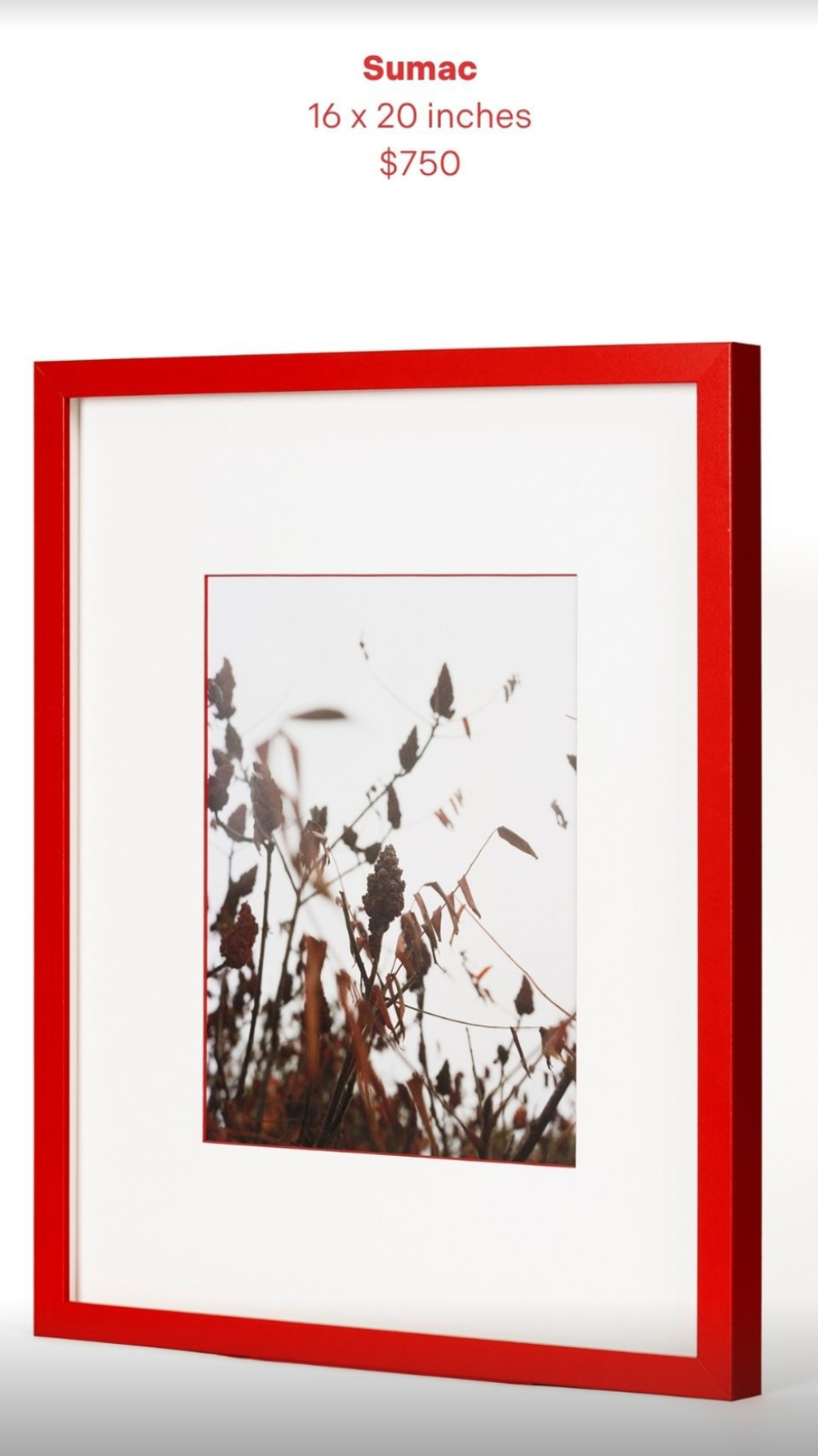 Sumac
