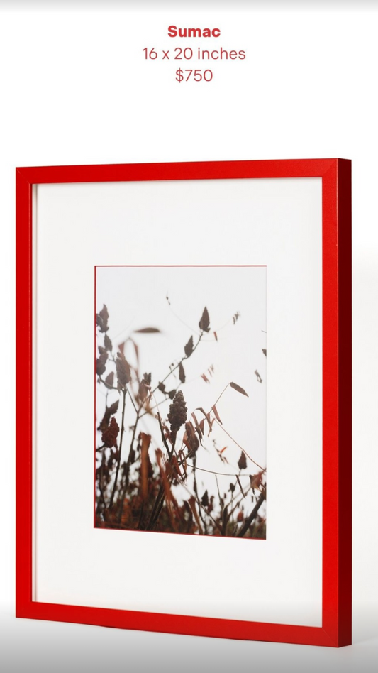 Sumac