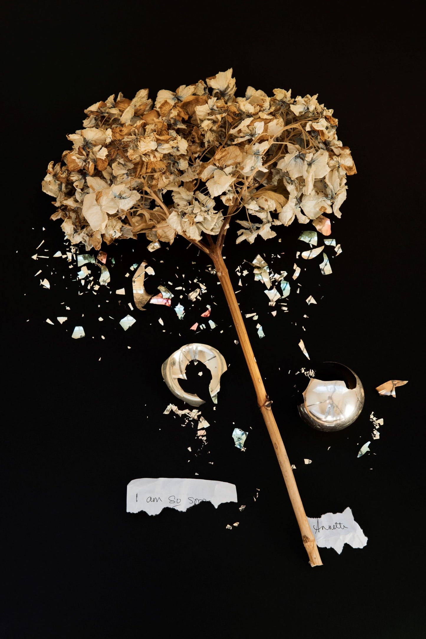 Detritus, Broken