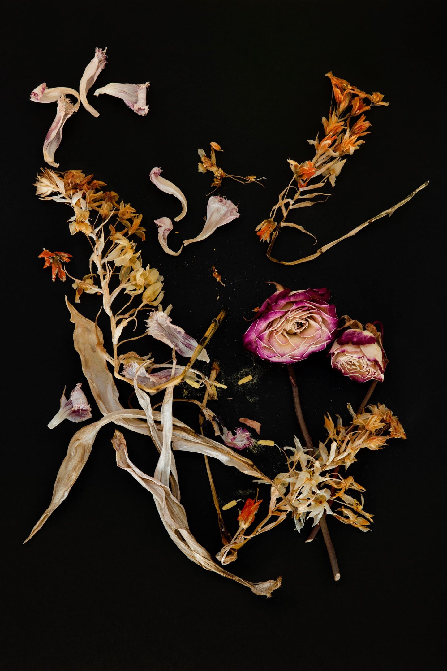 Detritus, Flowers *OUT ON RENTAL*