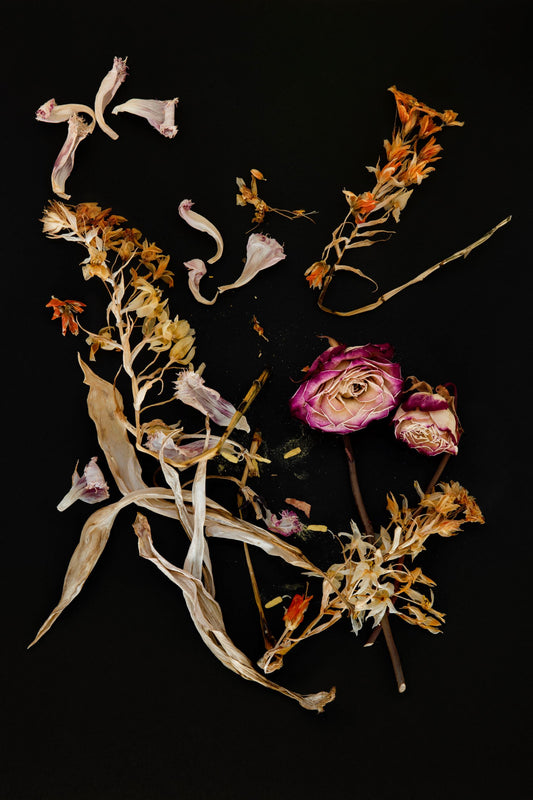 Detritus, Flowers