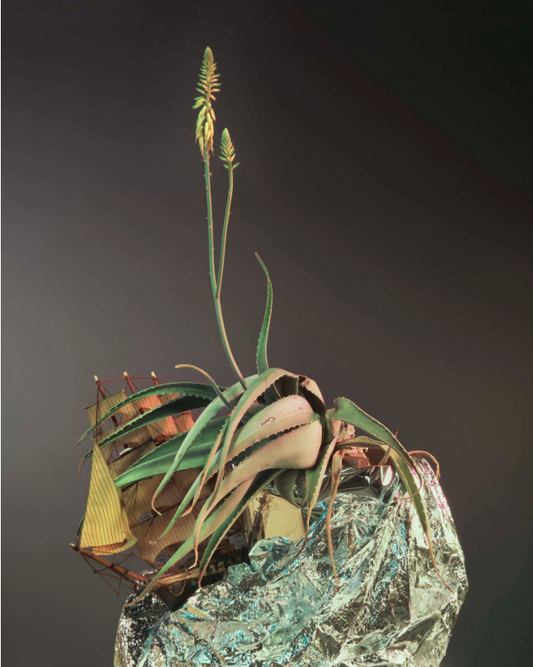 It Was a Happy Lil Ship