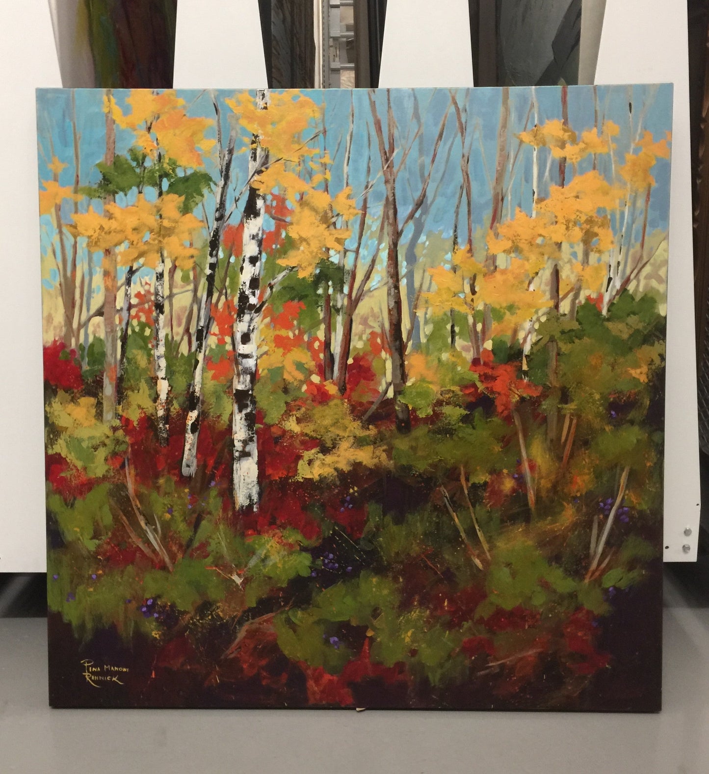 Fall Colours Leave You Breathless