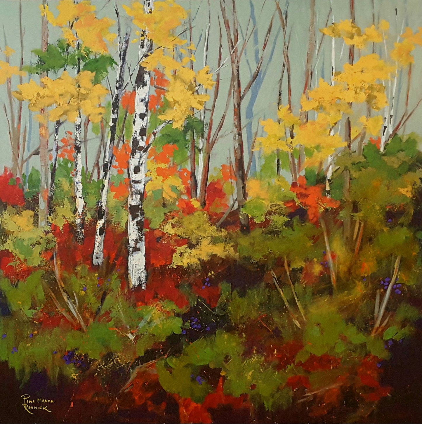 Fall Colours Leave You Breathless