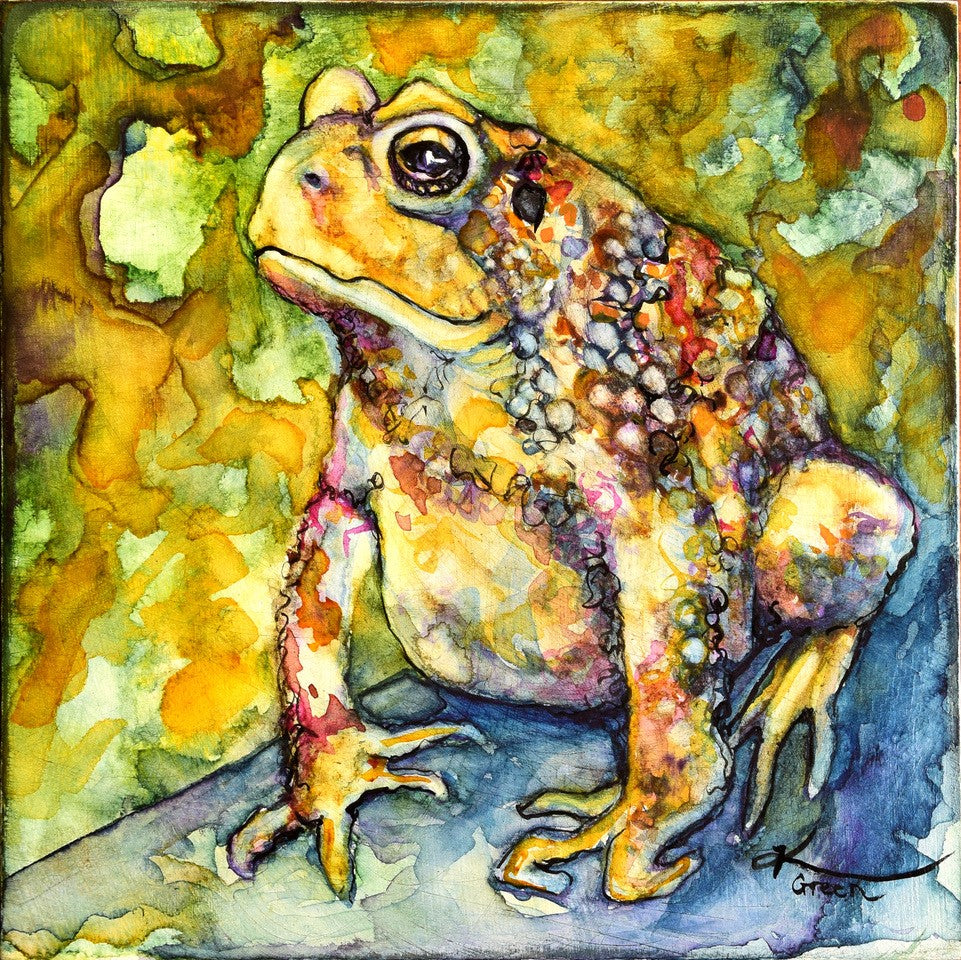American Toad