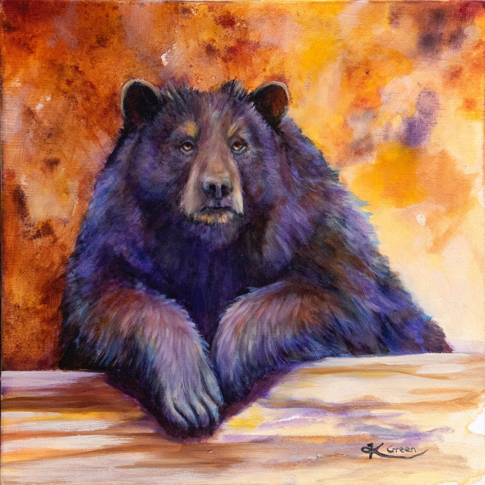 Black Bear