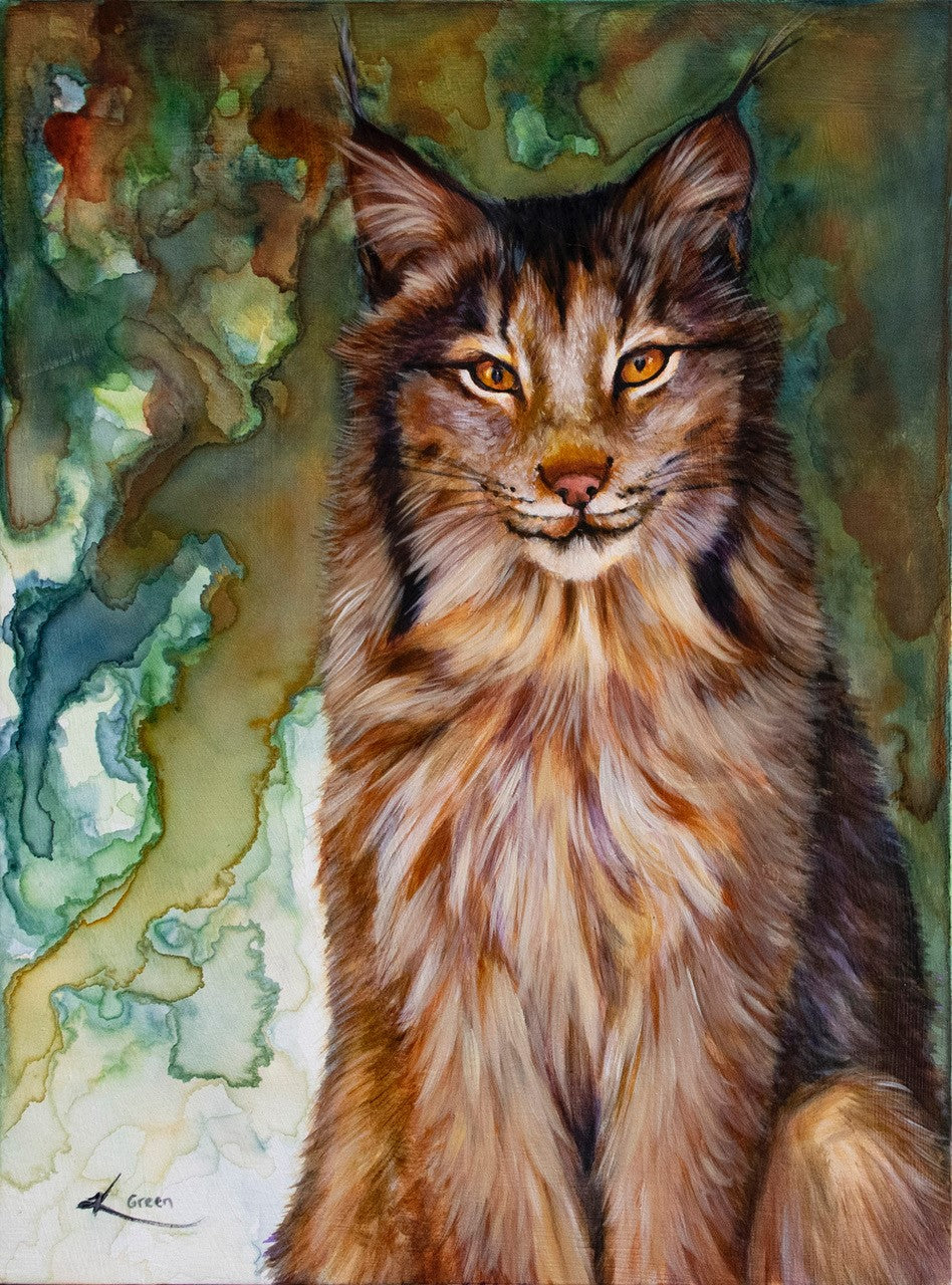 Canadian Lynx