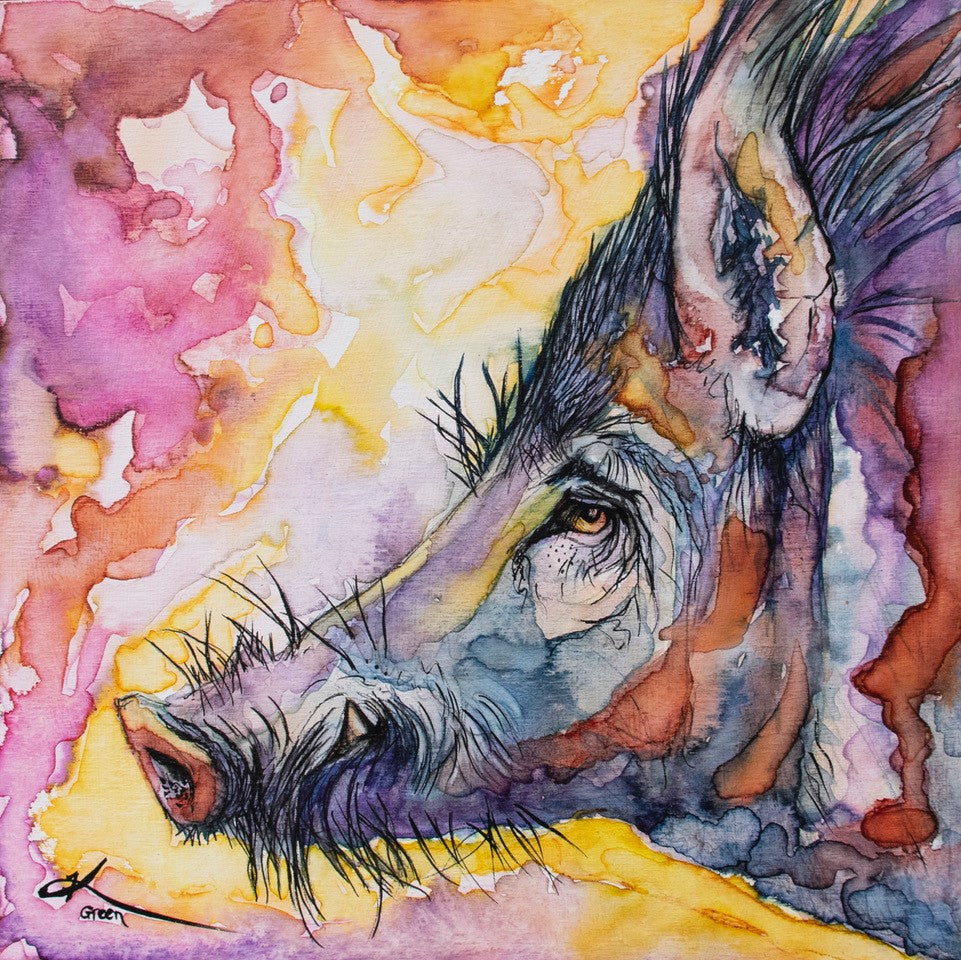 Wild Boar