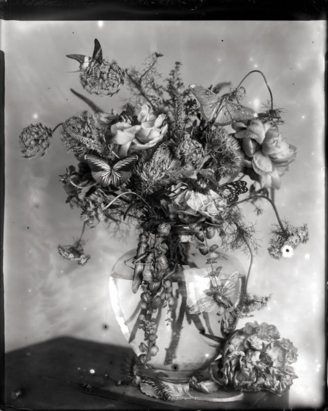 What Came in With The Flowers