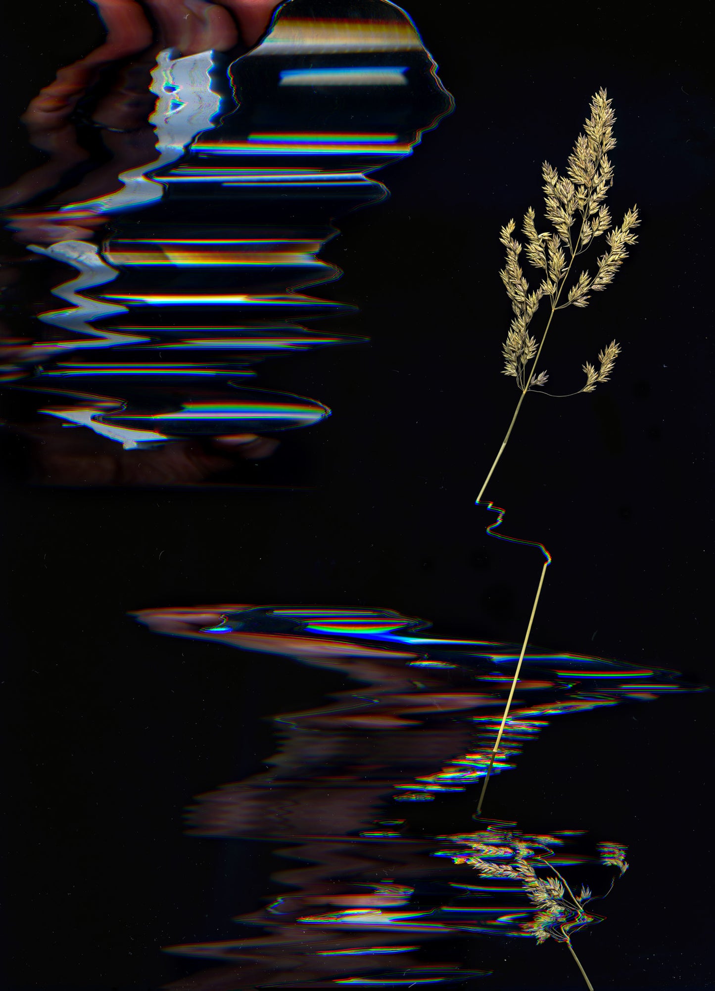 Mary Ev's Flowers no. 2