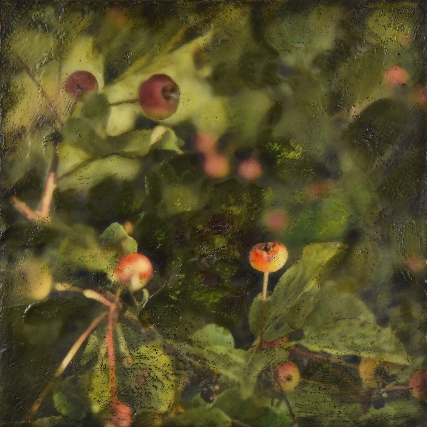 Crabapple Squares #12