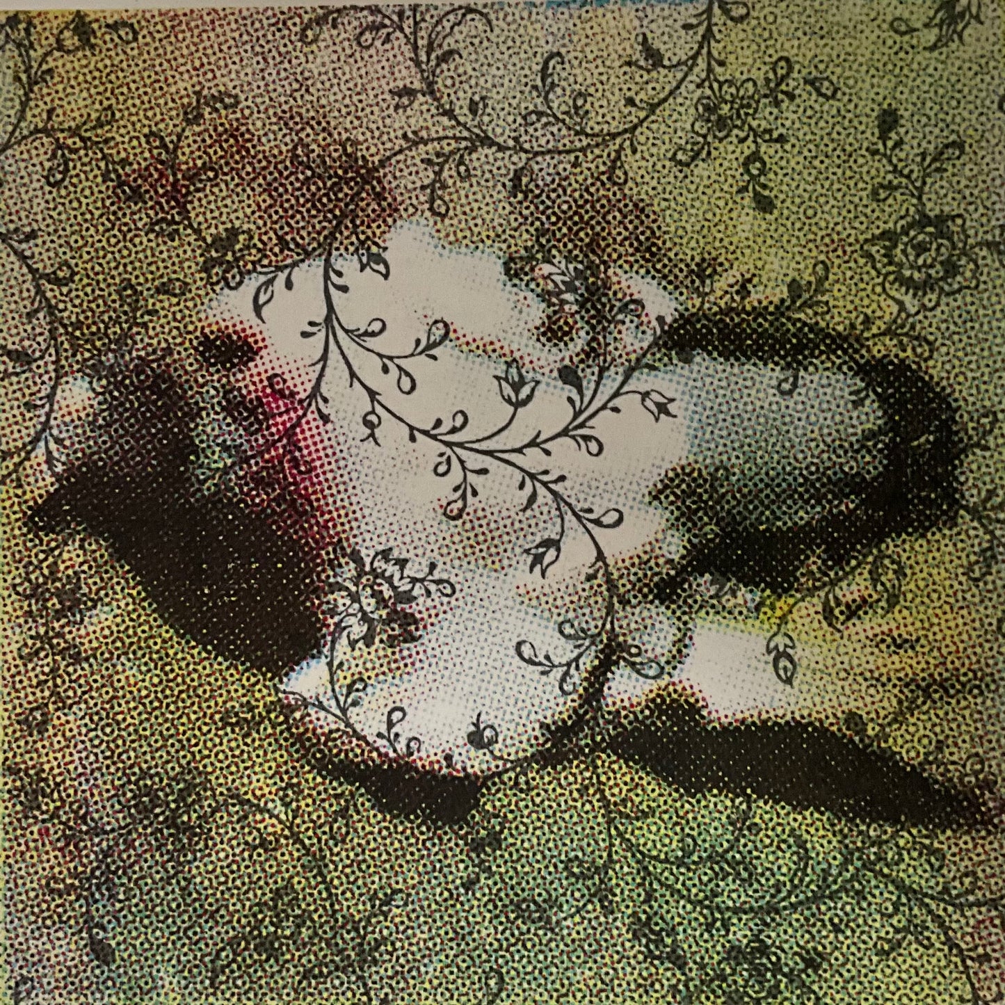 Improper Burial II (Roadkill Pigeon)
