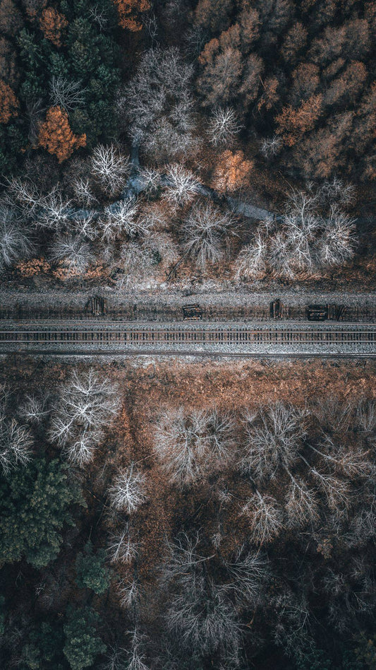 North Stormont Tracks