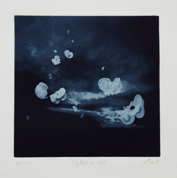 Papillons de nuit v.e. 2-5