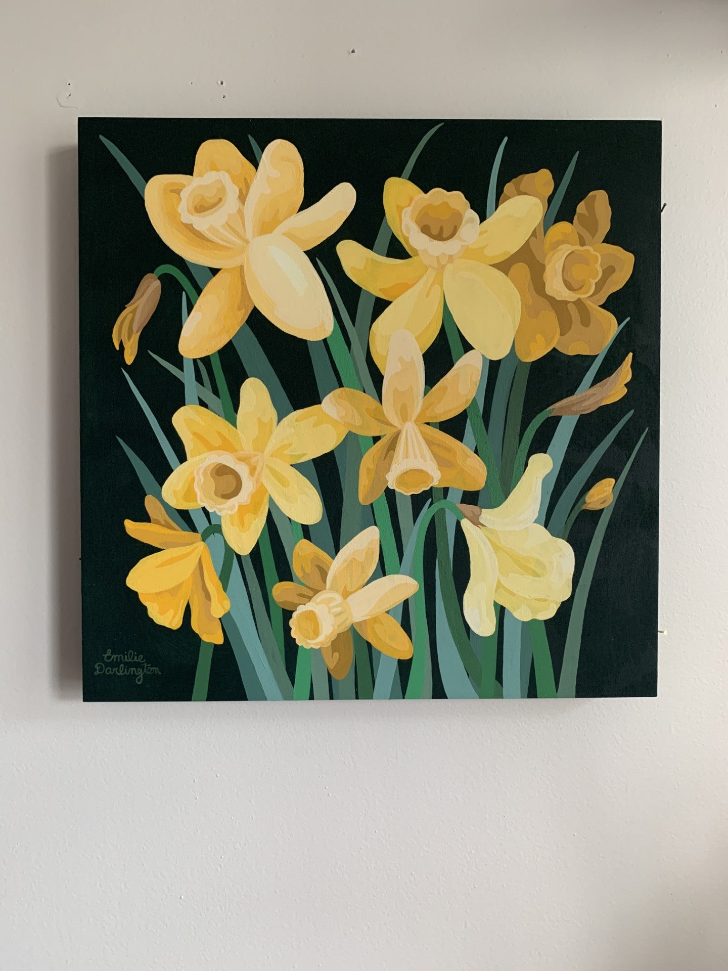 Daffodil Bundle