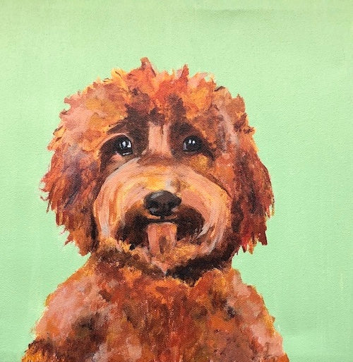 Cavapoo on Green
